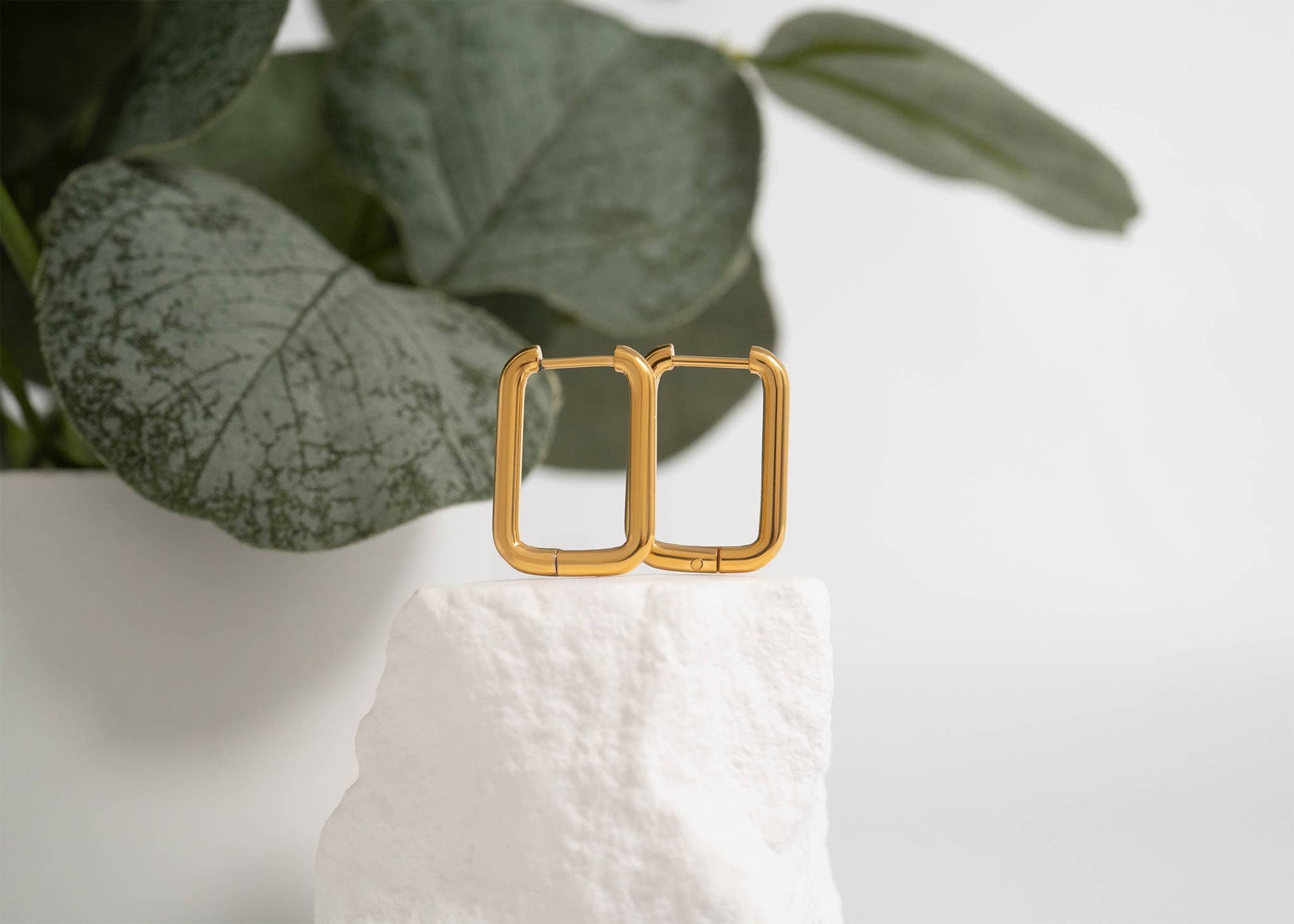 Gold hoop earrings on a white surface with green leaves in the background